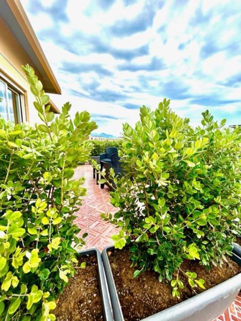 Aqua B&B - Rooms And Apartments Milazzo Buitenkant foto